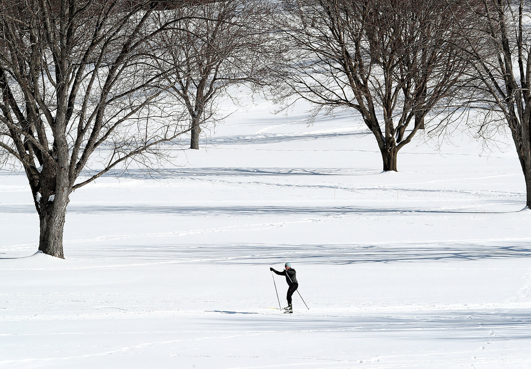 Feb. 19: Forrest Hills